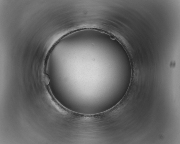 X0000112510894200908241417