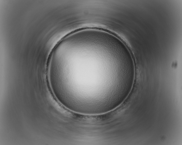 X0000112510895200908241417