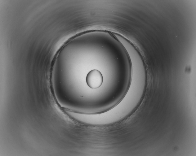 X0000112510896200908241417