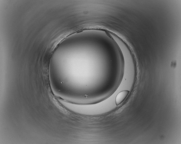 X0000112510897200908241417