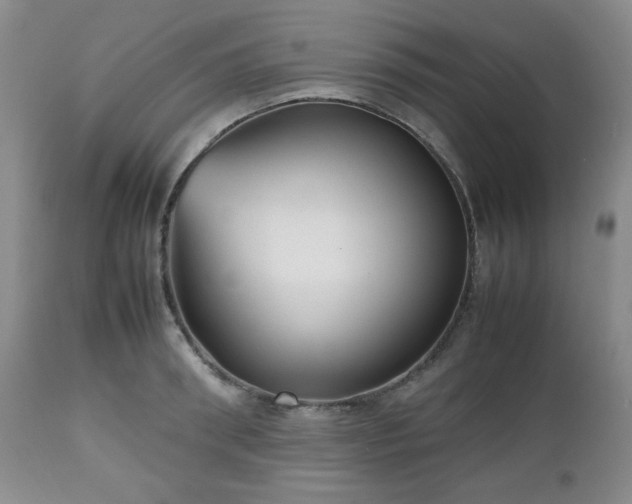 X0000112510898200908241417