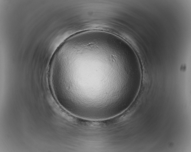 X0000112510899200908241417