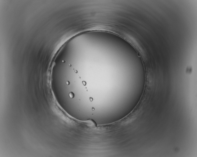 X0000112510900200908241417