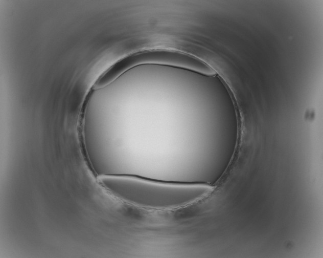 X0000112510901200908241417