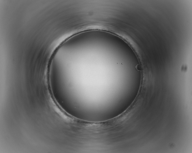 X0000112510902200908241417