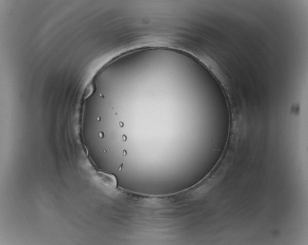 X0000112510904200908241417