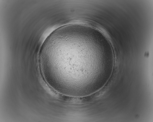 X0000112510907200908241417