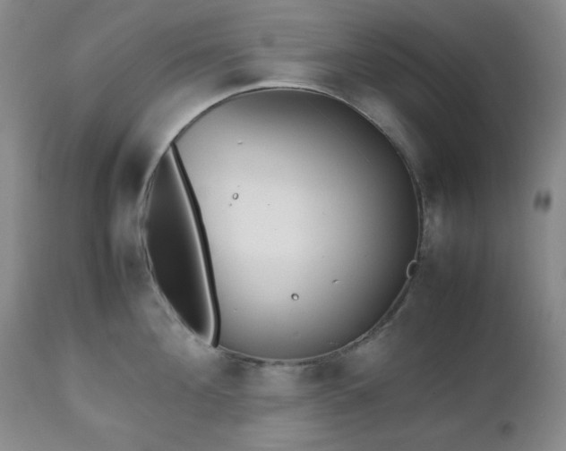 X0000112510908200908241417