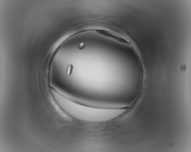 X0000112510909200908241417