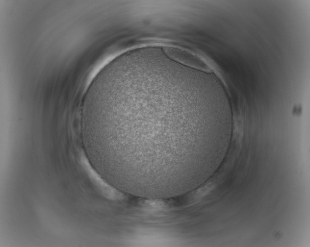 X0000112510911200908241417