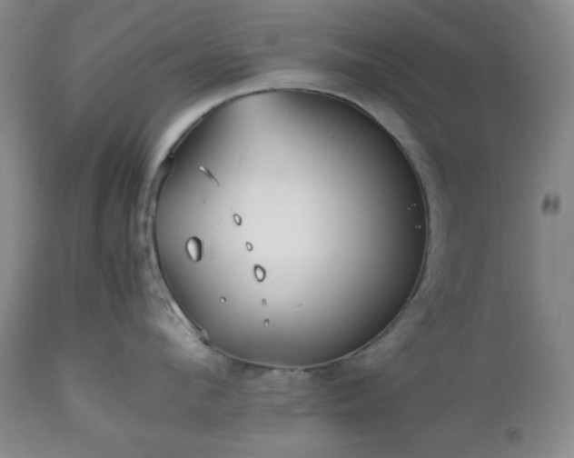 X0000112510912200908241417