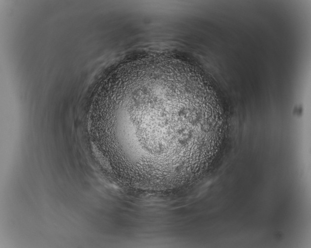 X0000112510913200908241416