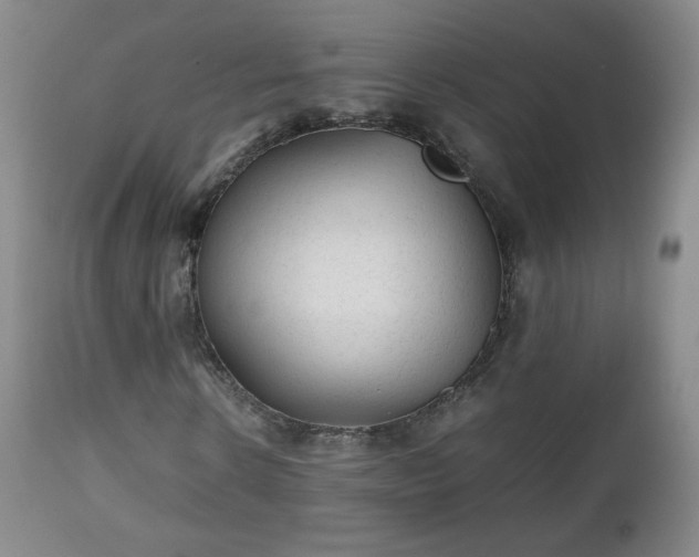 X0000112510914200908241416