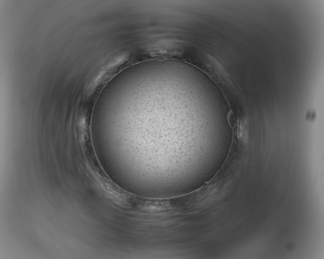 X0000112510915200908241416