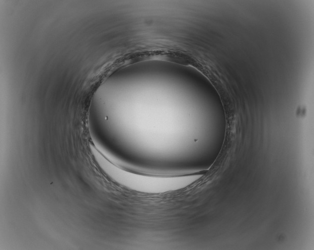 X0000112510916200908241416