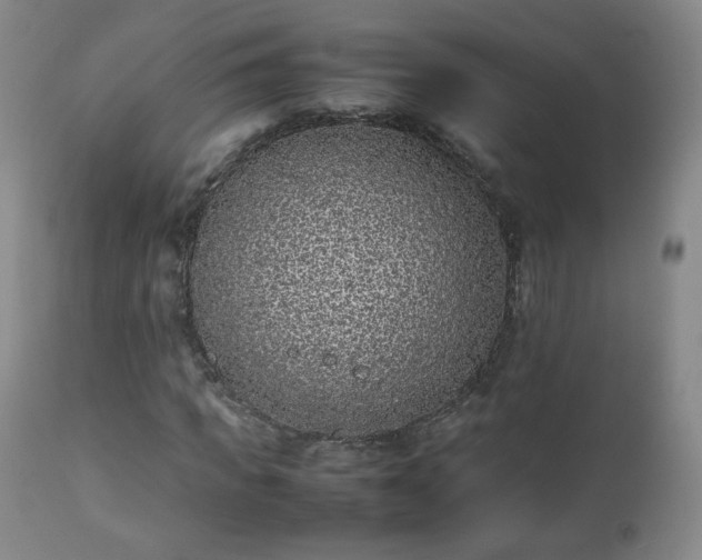 X0000112510917200908241416