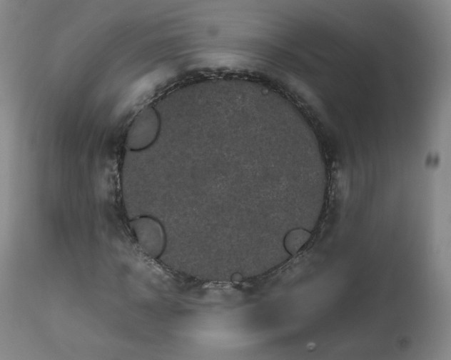 X0000112510918200908241416