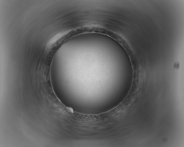 X0000112510919200908241416