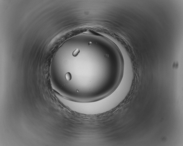 X0000112510920200908241416