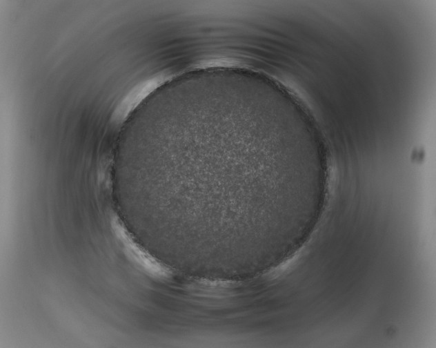 X0000112510921200908241416