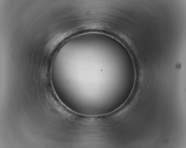 X0000112510922200908241416