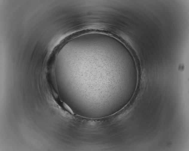 X0000112510923200908241416