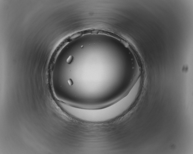 X0000112510924200908241416