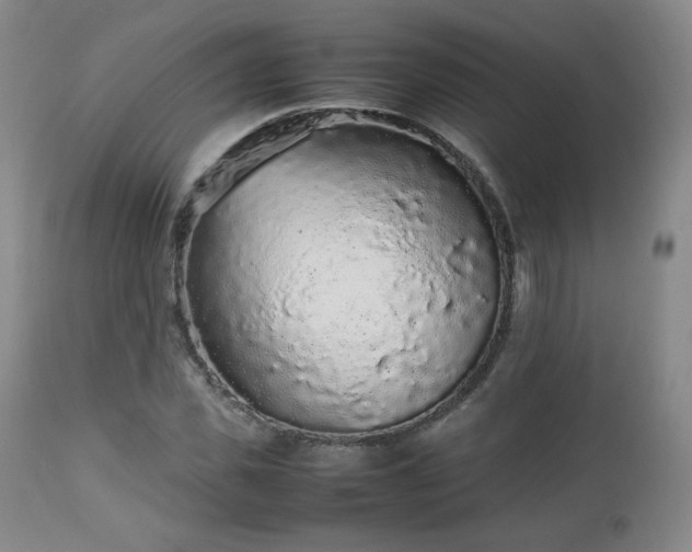 X0000112510925200908241416