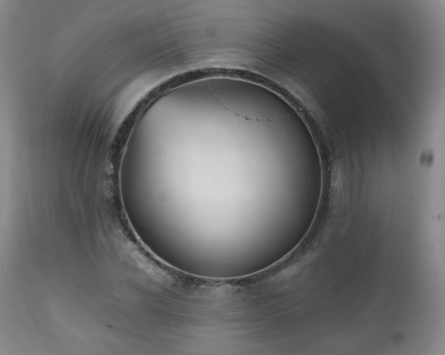 X0000112510926200908241416