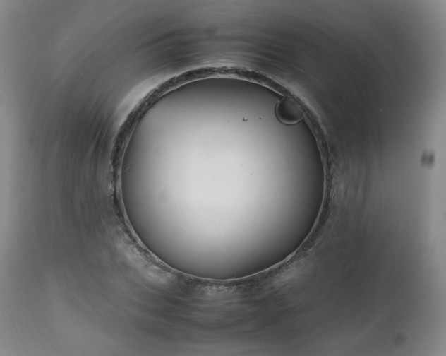 X0000112510927200908241416