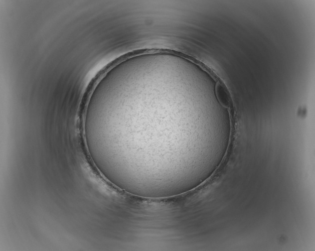 X0000112510928200908241416