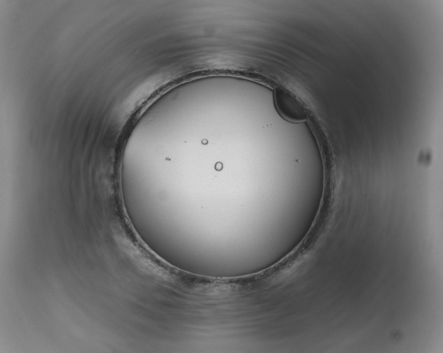 X0000112510930200908241416