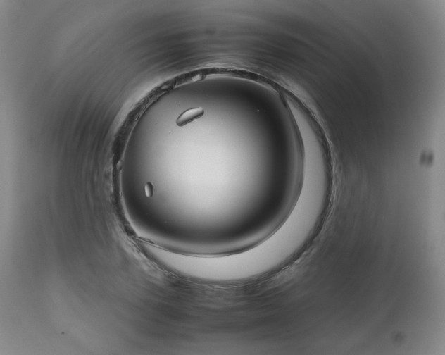 X0000112510931200908241416