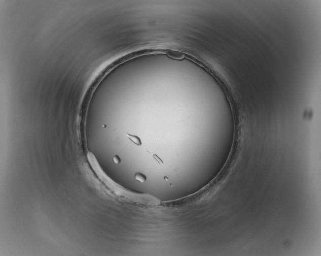 X0000112510932200908241416