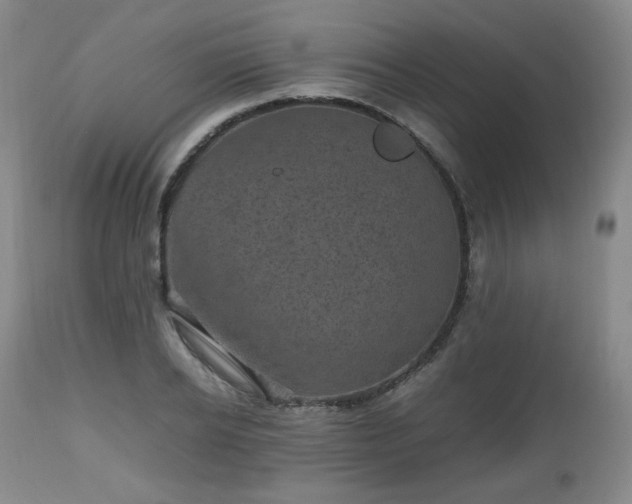 X0000112510934200908241416