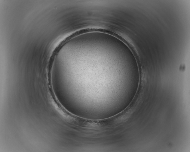 X0000112510935200908241416