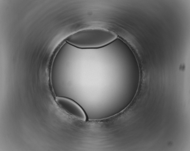 X0000112510936200908241416