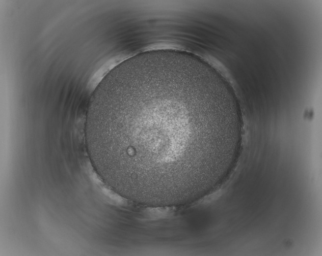 X0000112510937200908241416