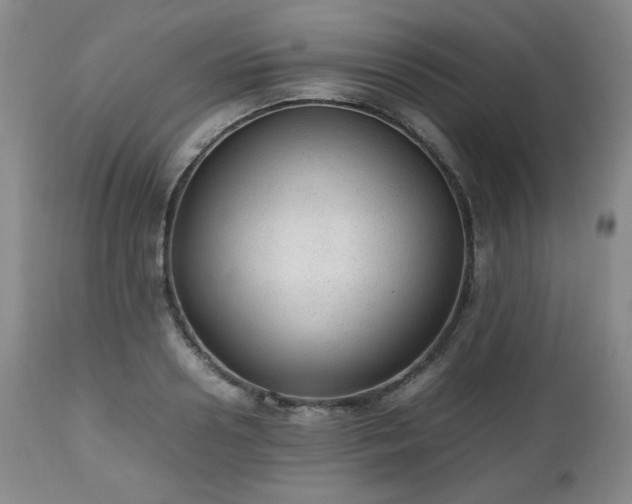 X0000112510938200908241416