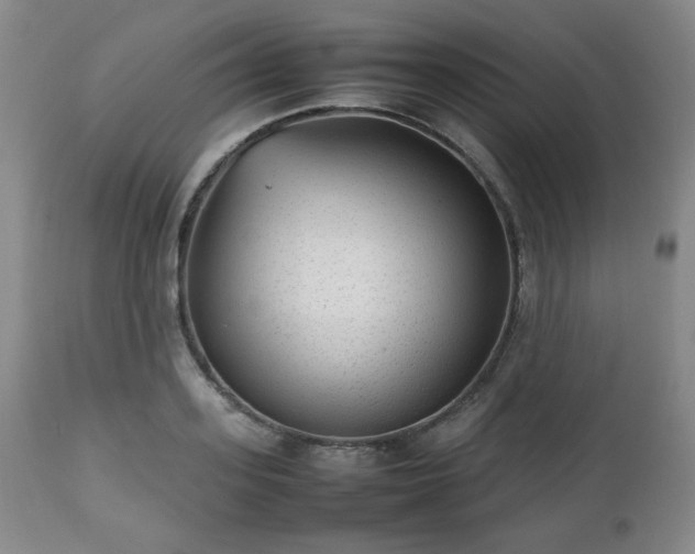 X0000112510939200908241416