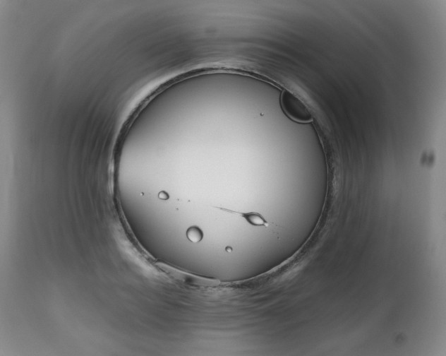 X0000112510940200908241416