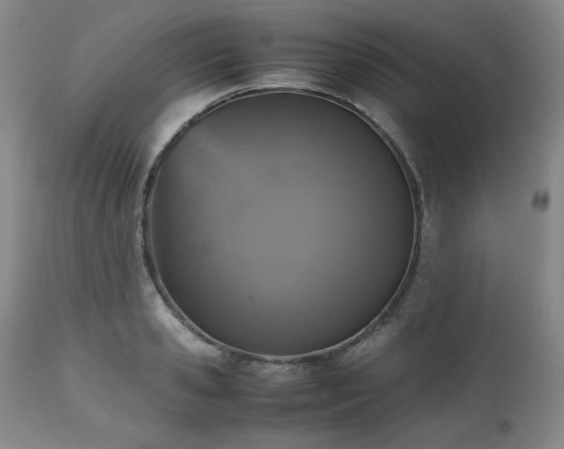 X0000112510941200908241416