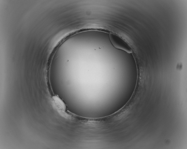 X0000112510942200908241416