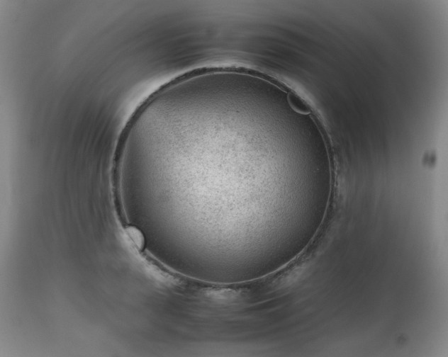 X0000112510943200908241416