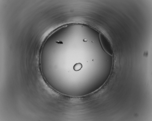 X0000112510944200908241416