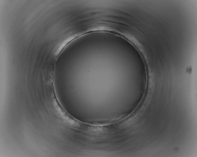 X0000112510945200908241416