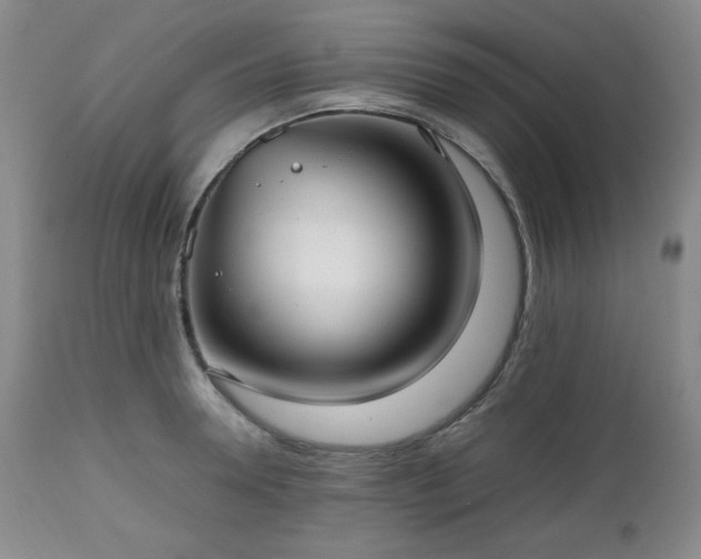 X0000112510946200908241416