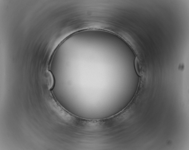 X0000112510948200908241416