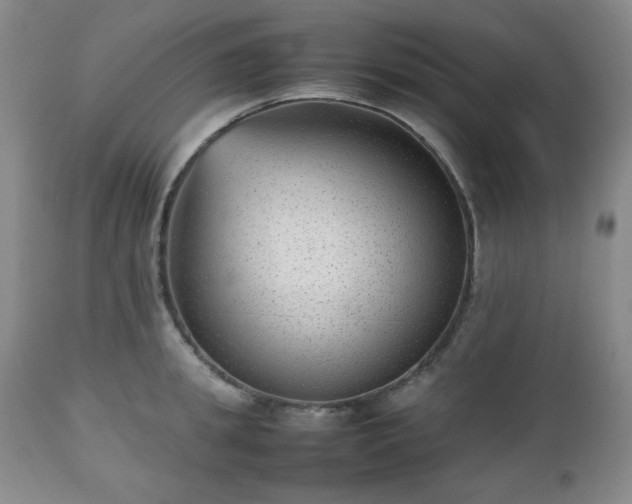 X0000112510949200908241416