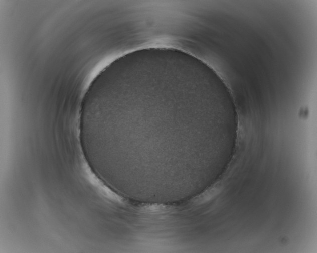 X0000112510950200908241416